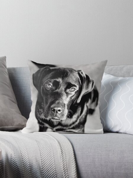 Item preview, Black Labrador designed and sold by sloetry.
