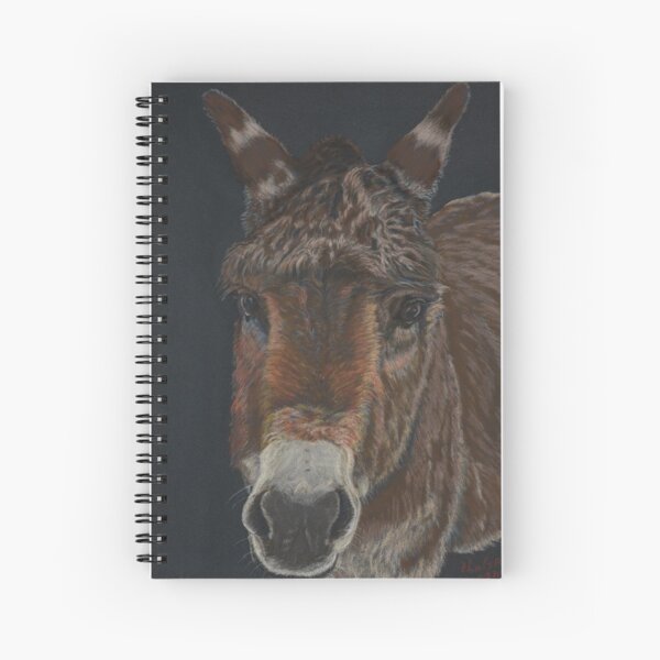 Little Donkey Spiral Notebook