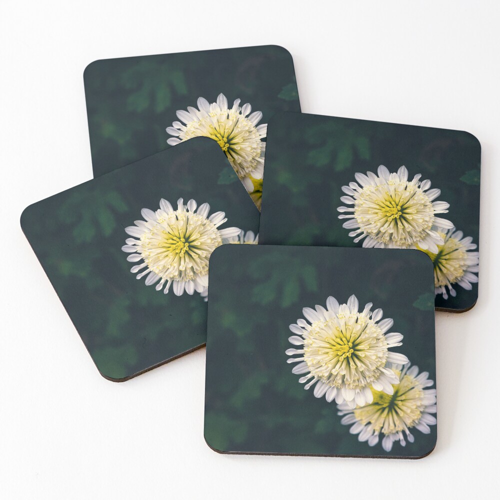 Item preview, Coasters (Set of 4) designed and sold by alanshapiro.