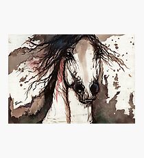 arabian horse impressions Photographic Print