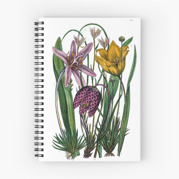 Item preview, The flowering plants, grasses, sedges, & ferns of Great Britain and their allies, the club mosses, horsetails designed and sold by simpson92.