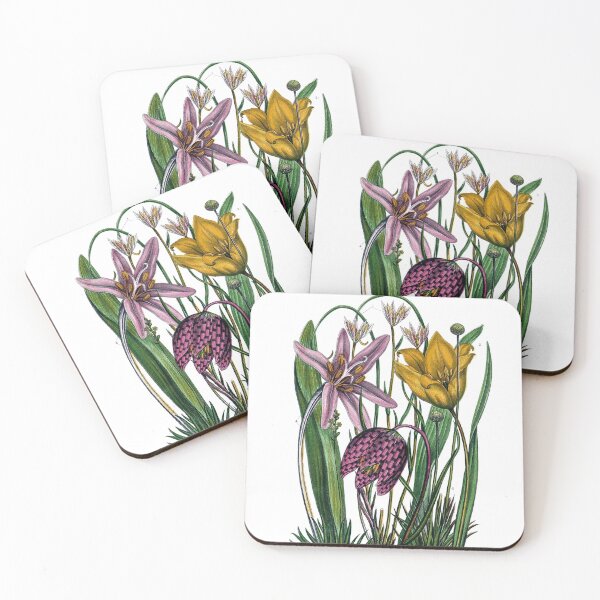 Item preview, The flowering plants, grasses, sedges, & ferns of Great Britain and their allies, the club mosses, horsetails designed and sold by simpson92.