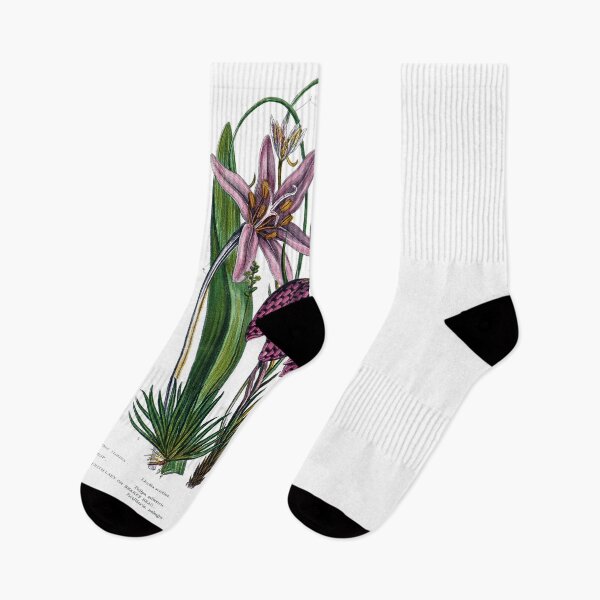 Item preview, The flowering plants, grasses, sedges, & ferns of Great Britain and their allies, the club mosses, horsetails designed and sold by simpson92.