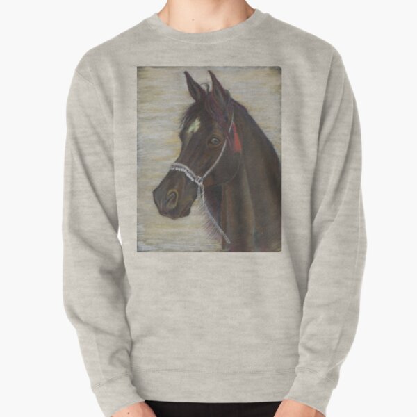 Desert Storm Pullover Sweatshirt