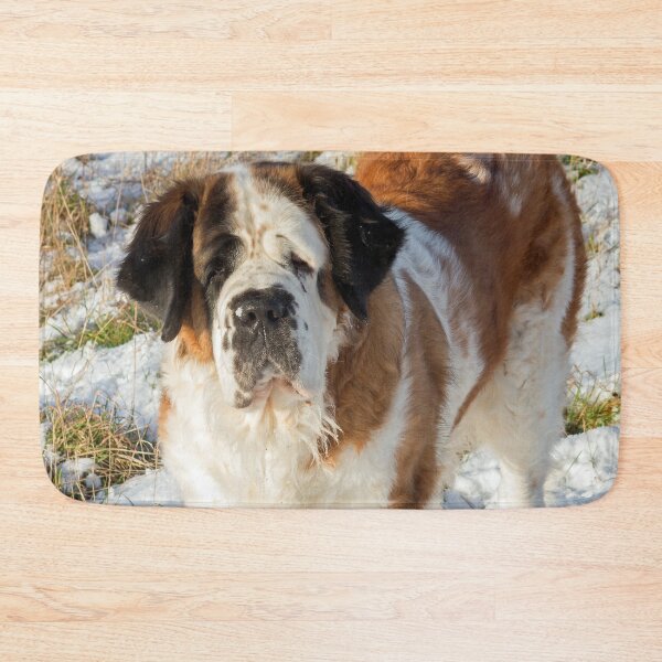 Item preview, Saint Bernard dog in the snow designed and sold by HaleyRedshaw.