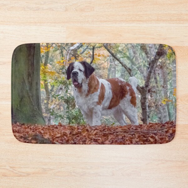 Item preview, St Bernard dog in Autumn woodland designed and sold by HaleyRedshaw.