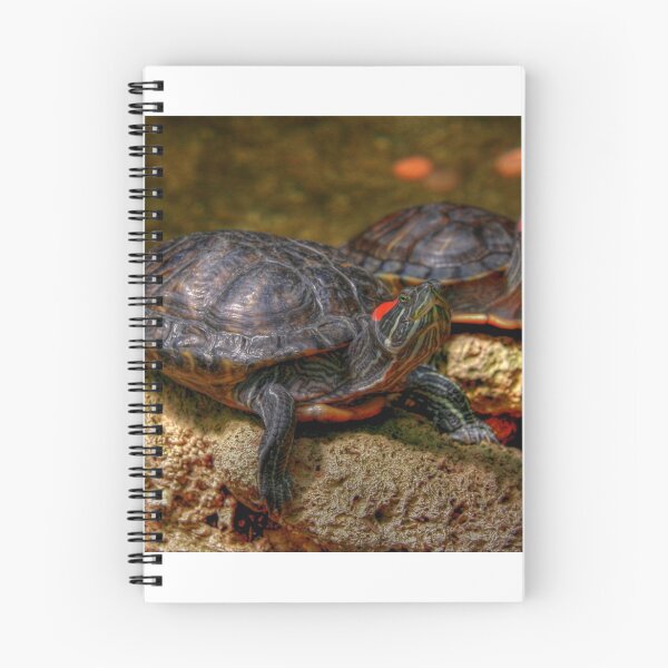 Item preview, Red Eared Sliders designed and sold by Larry Trupp.