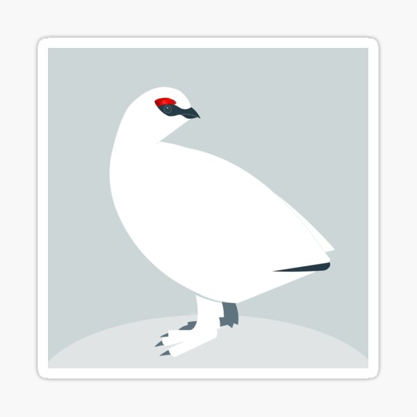 Rock ptarmigan in winter dress - bird graphic Sticker