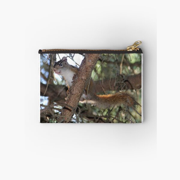 Item preview, Squirrel Playfulness designed and sold by vette.