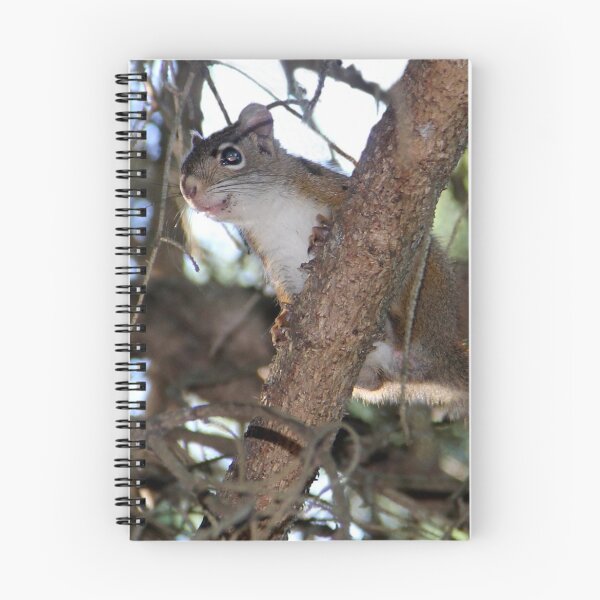 Item preview, Squirrel Playfulness designed and sold by vette.