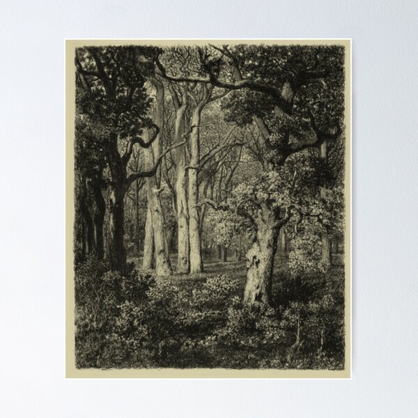 Item preview, Old Oaks designed and sold by BlueSpecsStudio.