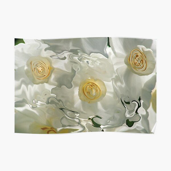 white floating veils Poster