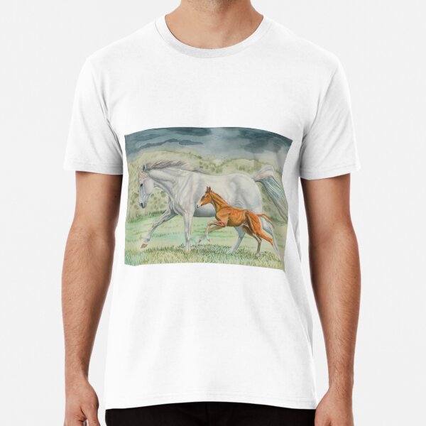 This is how we fly! Premium T-Shirt
