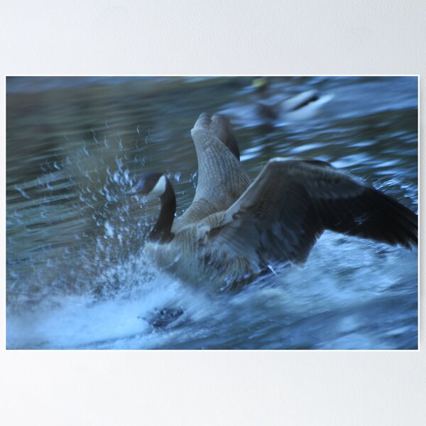Item preview, coming in for a landing Air Canada designed and sold by deville.