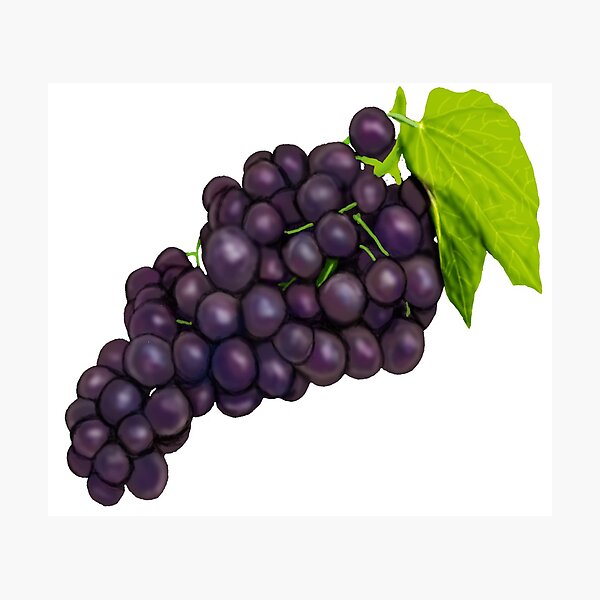 Item preview, grapes designed and sold by Sarah-Lynn Brown.