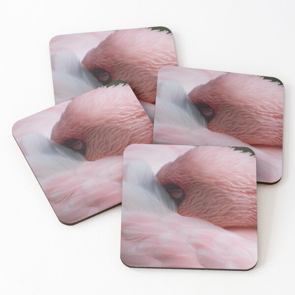 Item preview, Flamingo Resting designed and sold by bjcoving.