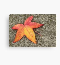 Guest Canvas Print