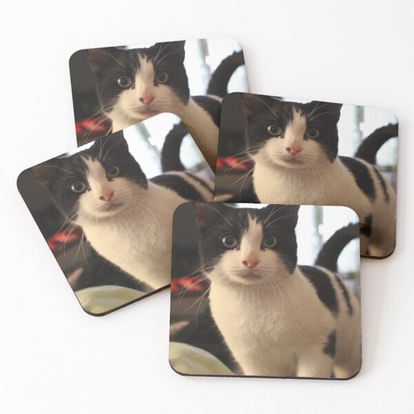 Item preview, Cute Cow Cat  designed and sold by geniedesigns.