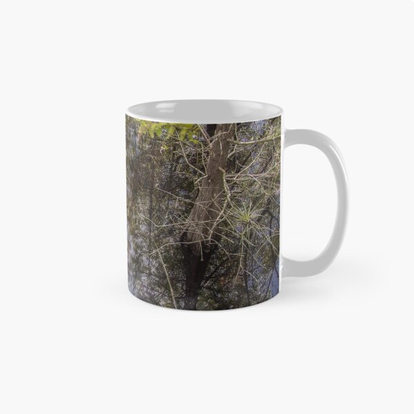 Item preview, Reflective Sunlight at the Slough designed and sold by John  Kapusta.