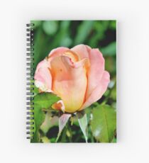 Eine Vorliebe für Rosen Spiralblock