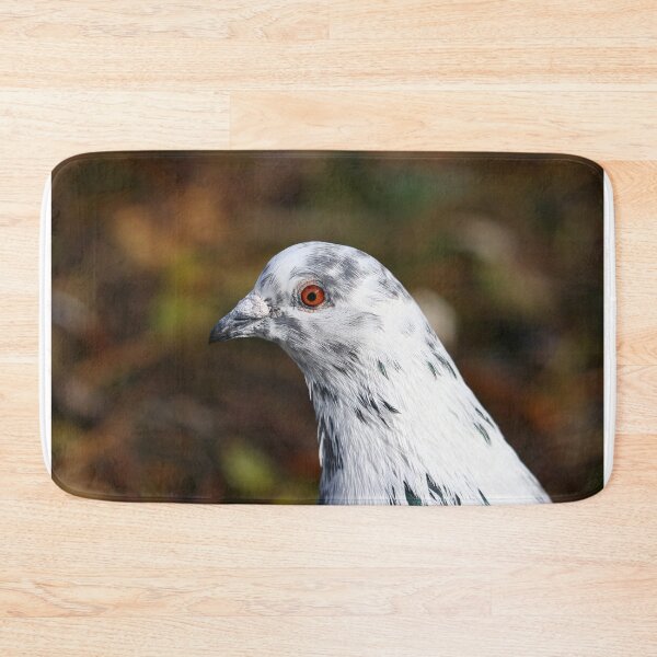 Item preview, Pied pigeon designed and sold by GreyFeatherPhot.