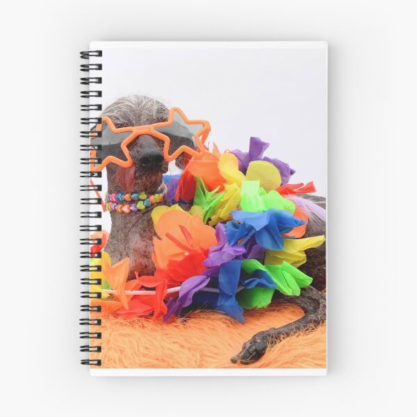 Item preview, Chase, the happy, hippy hound designed and sold by Xolo-Rescue.