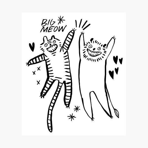 Big Meow Photographic Print