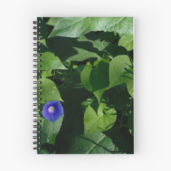 Item preview, 326 Morning Glory designed and sold by ptosis.