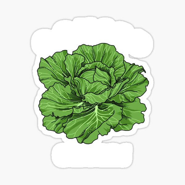 Mustard Greens vs Collard Greens: What's the Difference? - A-Z Animals