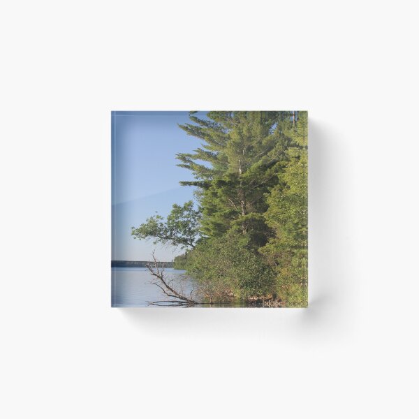 Item preview, Pines on the Lake designed and sold by bjcoving.