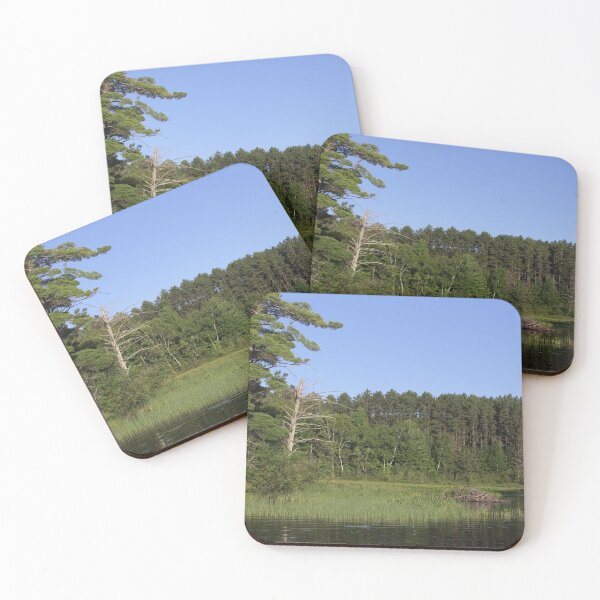 Item preview, Beaver Dam on the Lake designed and sold by bjcoving.