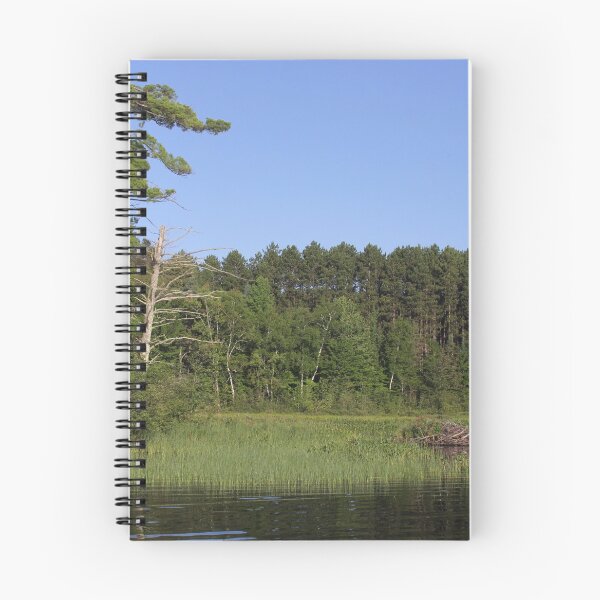 Item preview, Beaver Dam on the Lake designed and sold by bjcoving.