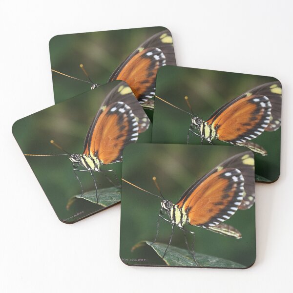 Item preview, I am Butterfly designed and sold by Katagram.