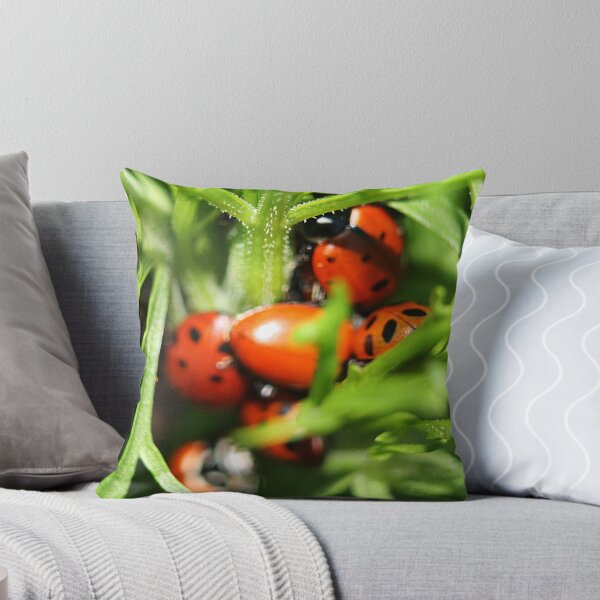 Item preview, Lady Bug Pajama Party designed and sold by Katagram.