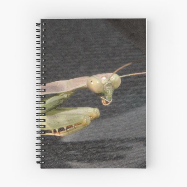 Item preview, Praying Mantis designed and sold by ptosis.