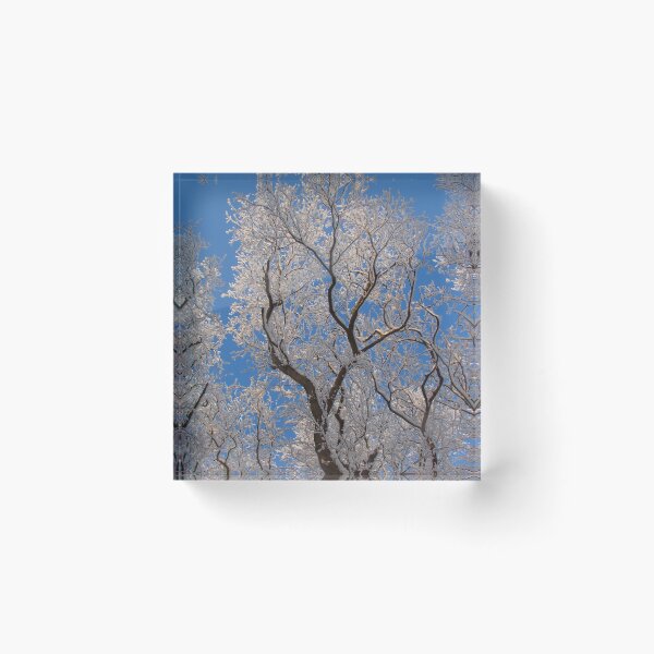 Item preview, Wintry designed and sold by Chris Petty.