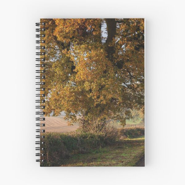 Item preview, Chipping Campden designed and sold by andrewroland.