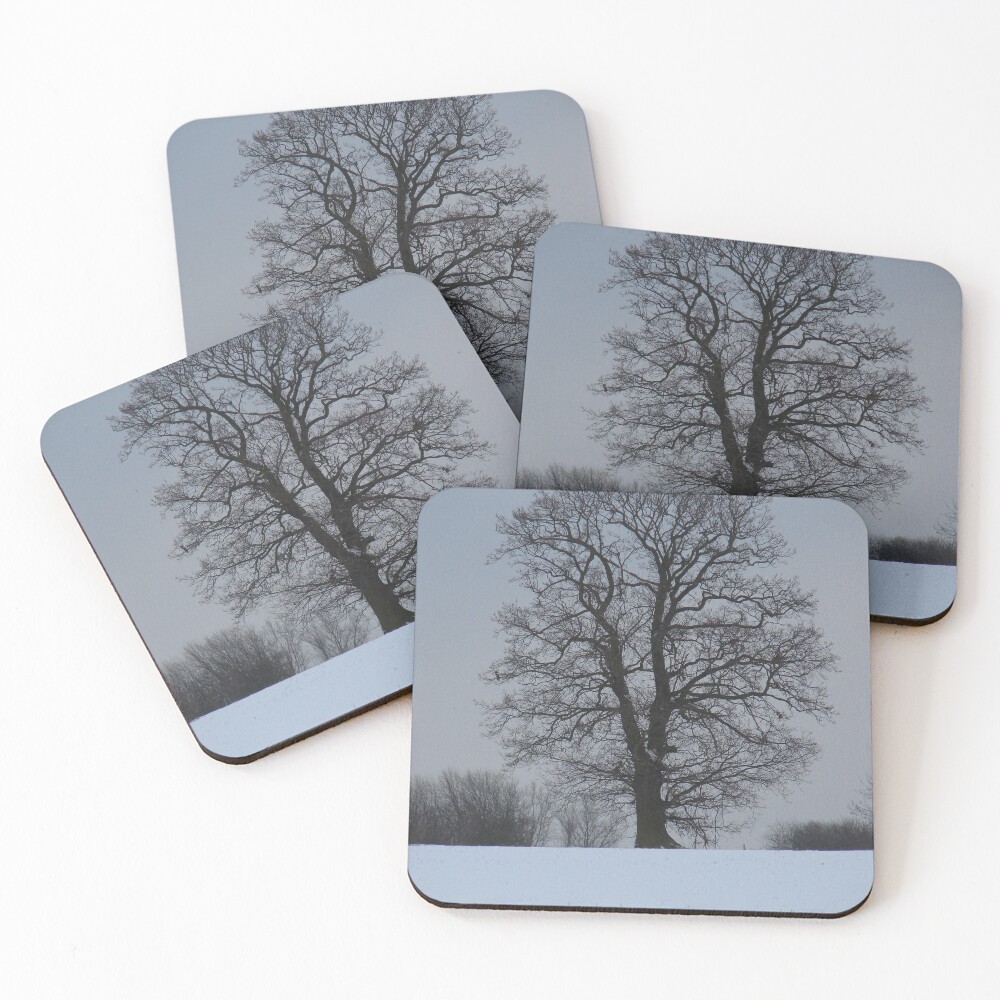 Item preview, Coasters (Set of 4) designed and sold by cjp74.