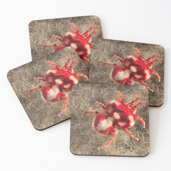 Item preview, 497 Giant Satin Mite Red White designed and sold by ptosis.