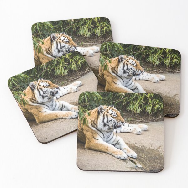 Item preview, Tiger designed and sold by SeanCoombes.