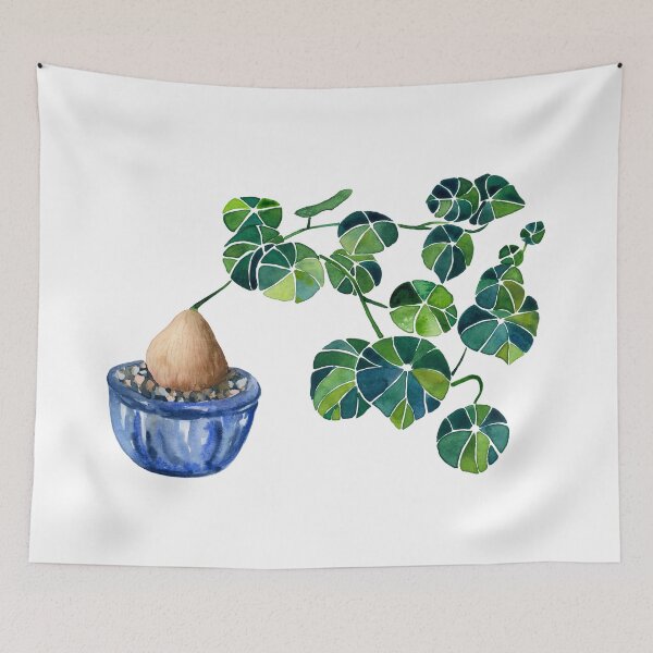 Item preview, Watercolor Bonsai Plant / Stephania Erecta Potato Plant designed and sold by Alisha Watercolors.