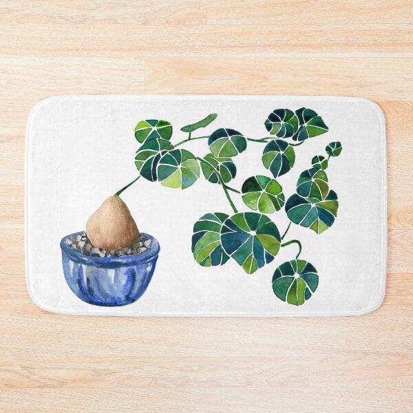 Item preview, Watercolor Bonsai Plant / Stephania Erecta Potato Plant designed and sold by Alisha Watercolors.