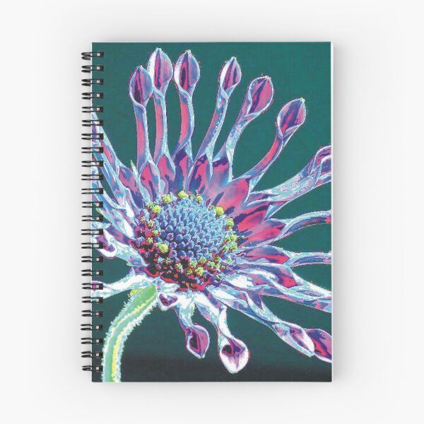 Item preview, Osteospermum designed and sold by Sal's KerleyWorld.