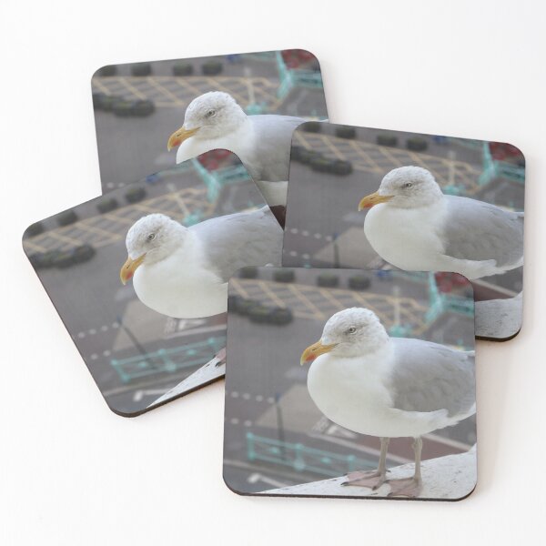 Item preview, European Herring Gull designed and sold by pinkal.