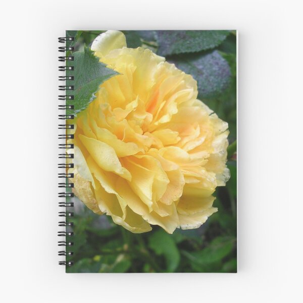 Item preview, Rose, Molineux designed and sold by lezvee.