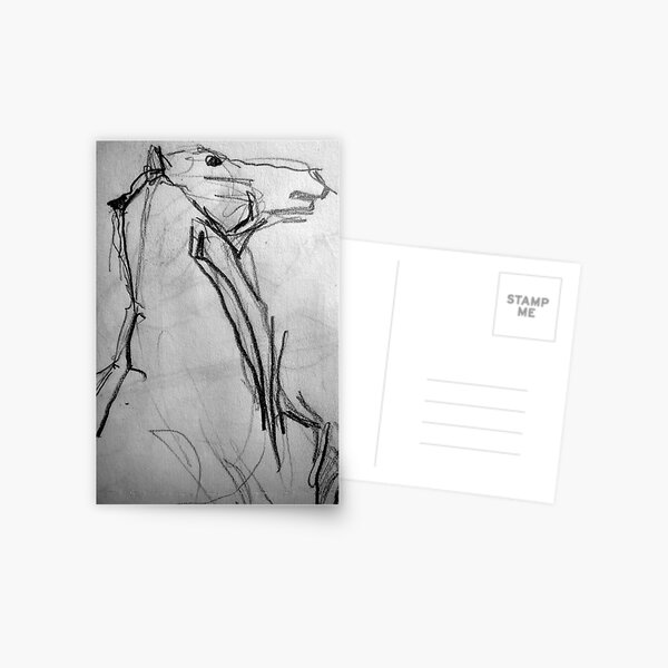 Sketch Book - Horse Postcard