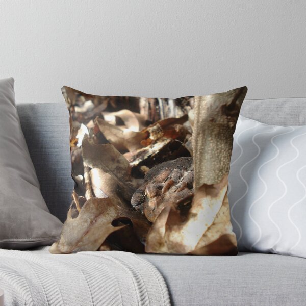 Item preview, Master of Camouflage designed and sold by May Lattanzio.