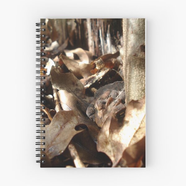 Item preview, Master of Camouflage designed and sold by May Lattanzio.