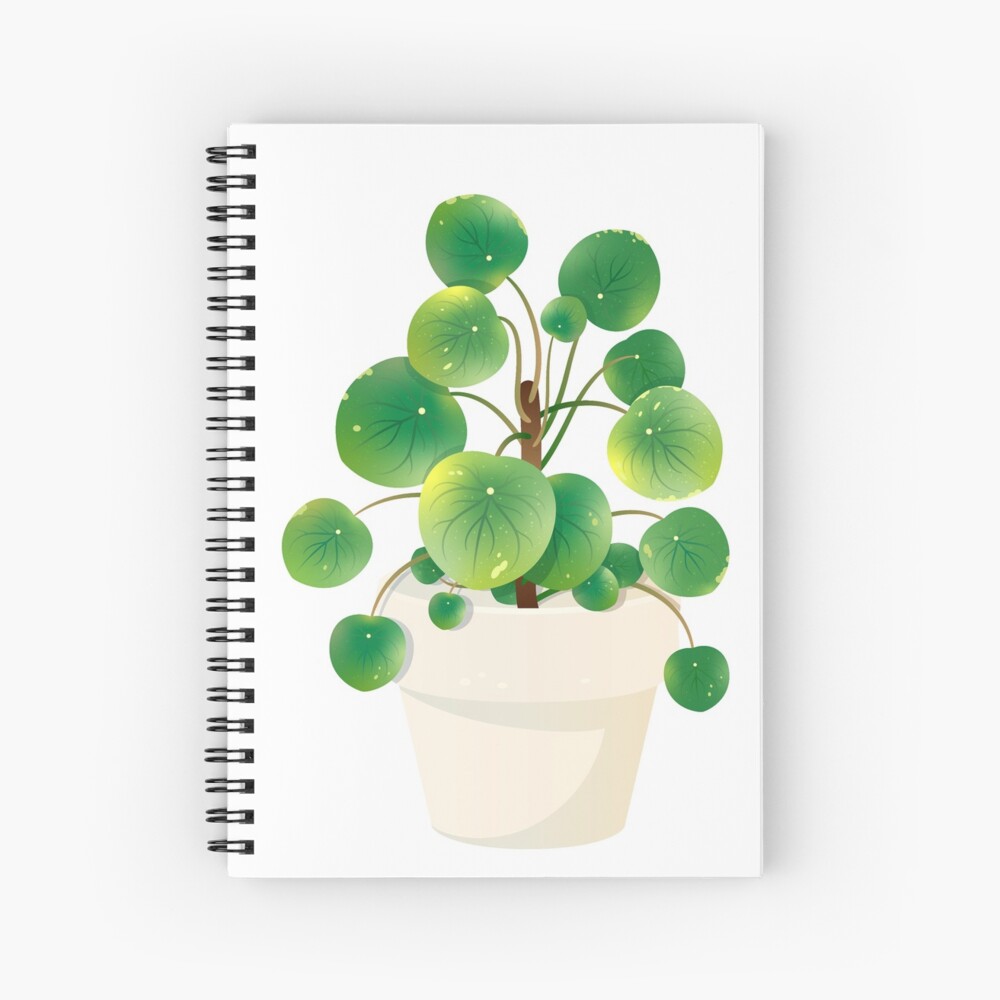 chinese money plant painting