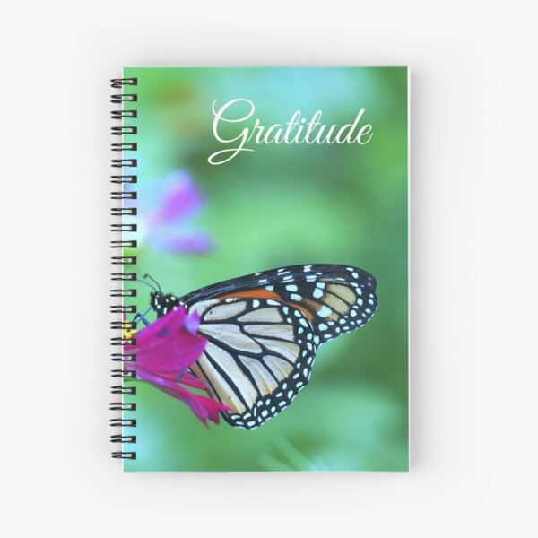 Aperçu de l'œuvre Gratitude - Papillon Monarque sur Fleur Magenta Cosmos créée et vendue par Megan Chan.